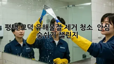 평택 고덕 유해물질 제거 청소 ✨ 안심 숨쉬기 챌린지!