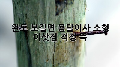 완도 보길면 용달이사: 소형 이삿짐, 걱정 뚝!